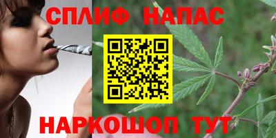 твердый Можга
